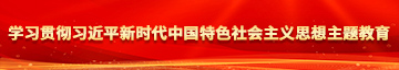 干小骚逼的逼学习贯彻习近平新时代中国特色社会主义思想主题教育